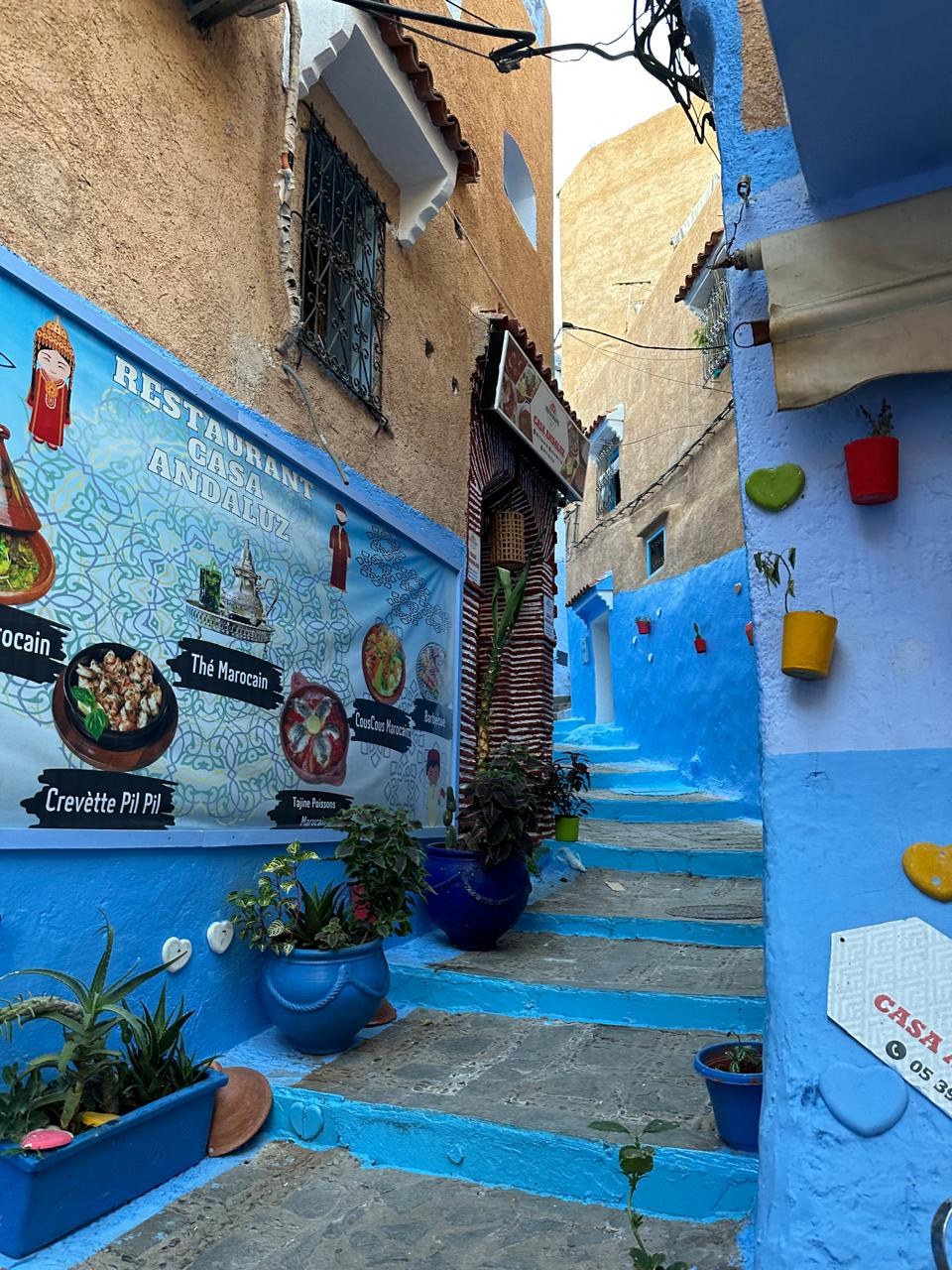Un paseo entre colores